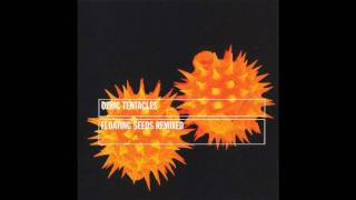 Ozric Tentacles - Meander (DJ BNX Karum Remix)