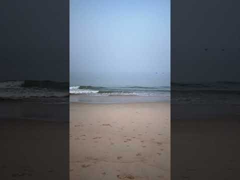 Goa Morning View❤️ #viralvideo #trending #goa #calangutebeach #goatravels #shortvideos #ytshorts