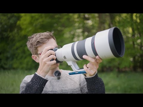 Canon RF 100-300 2.8 Review | Game changer for wildlife photography?