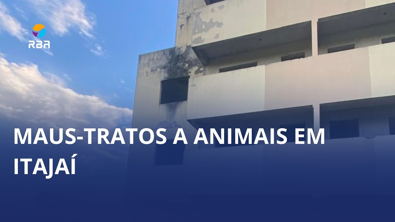 Jovem é preso e dois adolescentes são apreendidos por morte de cachorro em prédio abandonado