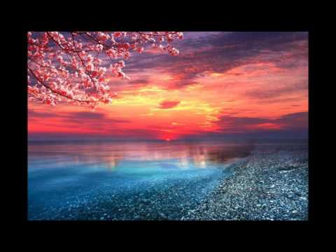 Funky Lowlives -  Latazz