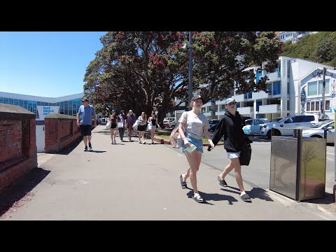 (4k) Summer walk. Parliament - Oriental Bay | Wellington, New Zealand | December 2021.