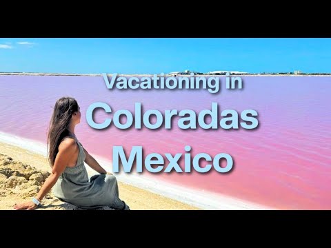Exploring the Pink Paradise  Las Coloradas mexico