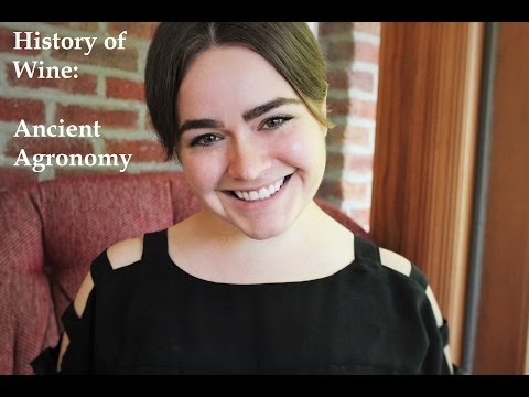 Ancient Agronomy Series Part 4: Vineyard Management Techniques