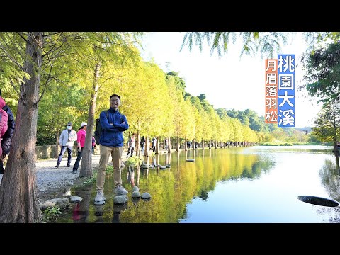 ¡Ha llegado la temporada de pinos! Camina hasta el Parque Ecológico del Puerto Artificial de Yumei, embarque y apertura, un lugar panorámico de descanso conveniente en la ciudad.