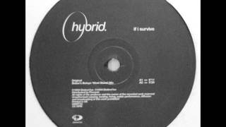 Hybrid - If I Survive (Beber's Boelyn 'West Stand' Mix)