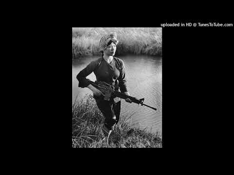 [FREE] Los x WB Nutty type beat 2025 - "Mesh"