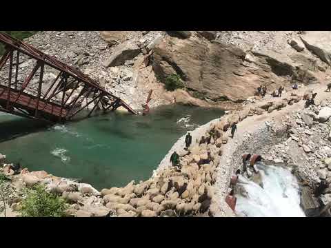 Buran Pass Tracking tour with Alpine Dweller