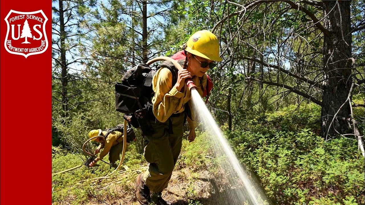 The Forest Service’s Wildfire Force