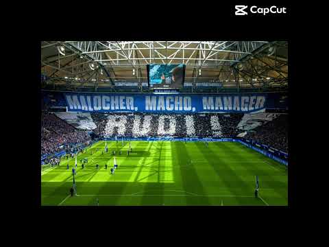 Schalke Choreos 💀#schalke#uge