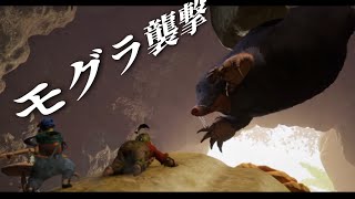 モグラの大襲撃と花の妖精【It Takes Two】#11