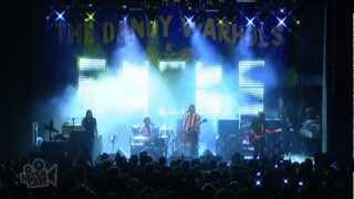 The Dandy Warhols - You Were The Last High (Live in Sydney) | Moshcam