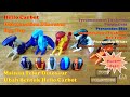 Toy 헬로카봇 Hello Carbot Deformation Dinosaur Egg Toy 5 Eggs Mainan Telur Dinosaur Ubah Bentuk 
