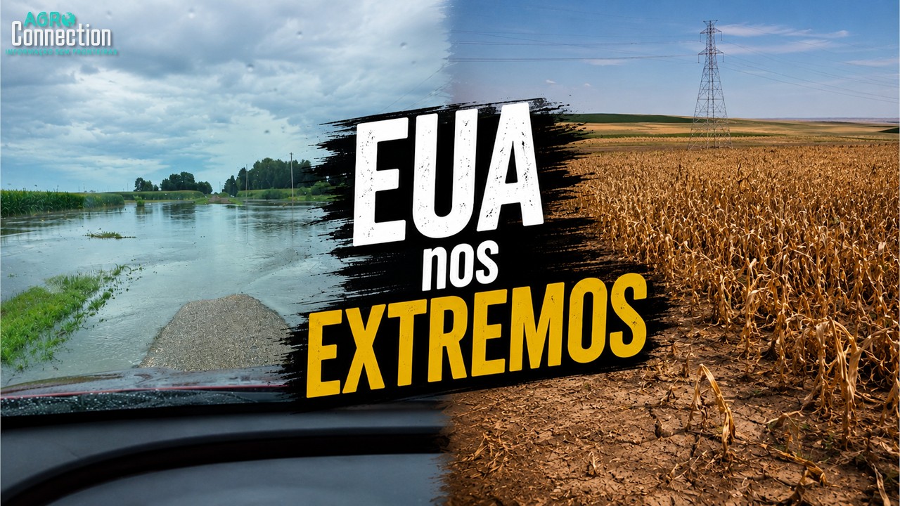 Safra Soja e Milho EUA 2026 - 17 de agosto - 08 17