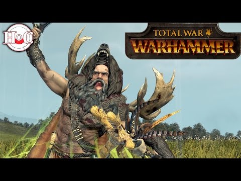 Wood Elves vs Empire - Total War Warhammer Online Battle 187