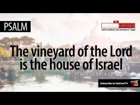 Psalm - The Vineyard of the Lord (Ps80)