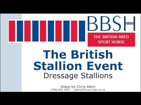 BBSH The Stallion Event 2015 - Dressage Stallions