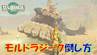 【ゼルダの伝説ティアキン】モルドラジークの倒し方を解説！出現場所：全4か所も紹介！