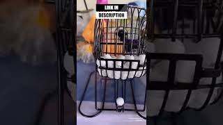 Download lagu BINGO Family Game Set (Shopee Finds) mp3