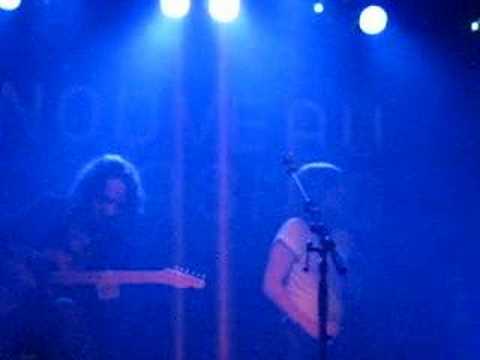 Diving With Andy Balancing My Head Live