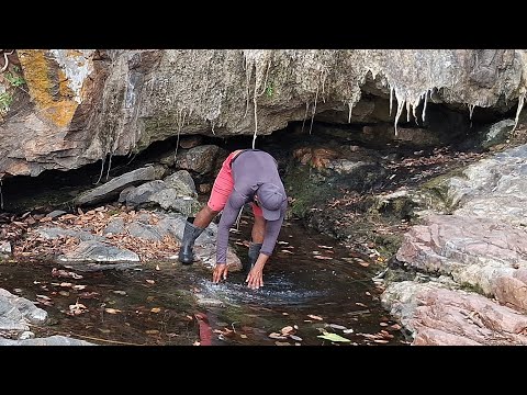 Mostrando um lindo olho d'água no meio da serra do agreste Paraibano 