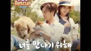 (DL MP3) Roy Kim (로이킴) & Bae Da Hae(배다해) - 펫레스큐 – (Single)