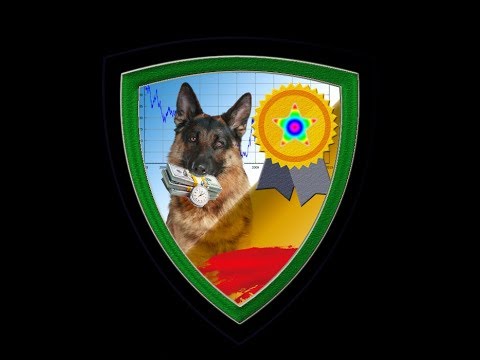 Video Military Dog SARMY