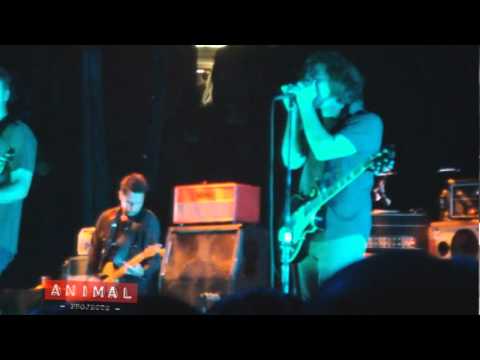 Pearl Jam - In My Tree (Philadelphia, Pa 2009-10-30) Multicam