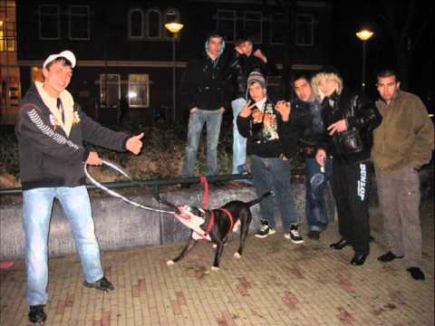 The Black ft Gada i B Tarikata  Takava e sudbata ni 2006