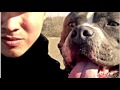 Mac Mase All Dogs Go To Heaven RIP VITO