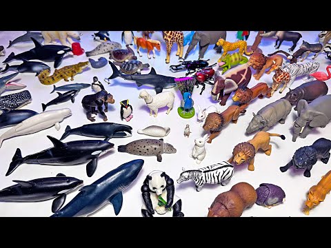 Takara Tomy Sea Animals & Wild Animals - Lion, Tiger, Zebra, Orca, Shark, Whale, Seal, Penguin