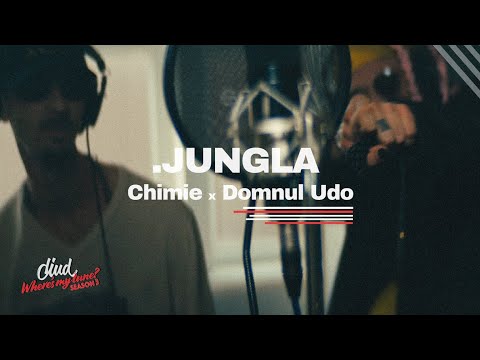 JUNGLA by Chimie & Domnul Udo - Sus | Diud, where's my tune?