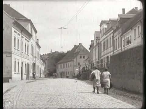 Die Stadt Wurzen im Jahre 1925