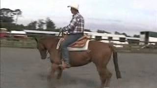 preview picture of video 'Western Horse Training exercises at rideontheweb.com'
