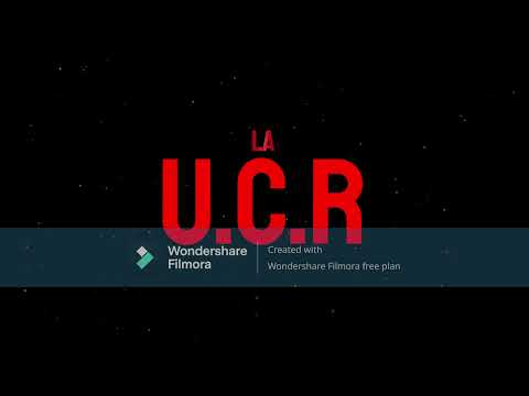La Unión Cívica Radical, orígenes y principales características - Valdez y Ortiz