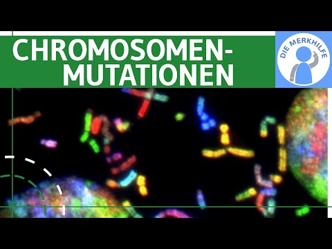 Chromosomal mutations - definition, deletion, duplication, inversion, insertion & translocation e...