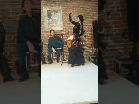 Por alegrias at The Flamenco Room at Thirsty Bear Brewery San Francisco June 2019