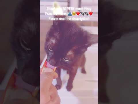 THANK YOU SO MUCH FOR THIS MARY FRANCES! EVERYONE, LETS SHOW MARY LOVE!💕