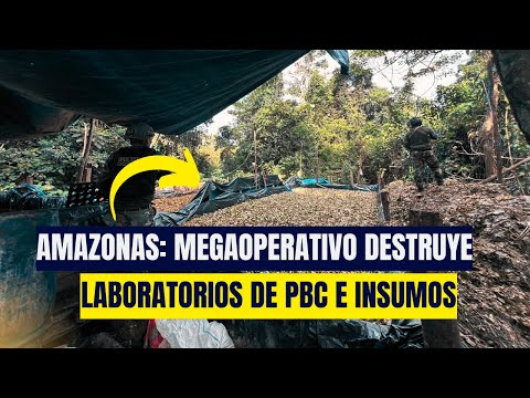 Amazonas: DIRANDRO destruye tres laboratorios de PBC en una zona de Nieva