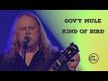 Kind of Bird – Gov’t Mule | Live at Rockpalast (2017)