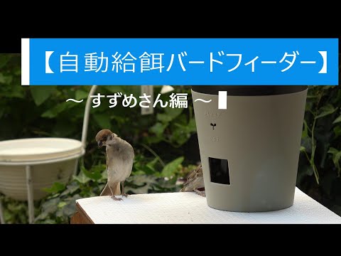 壁に取り付けられた鳥の酒飲み、メタルデコの鳥の置物