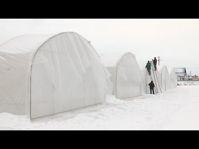 На 90 сотых будут теплица и сад