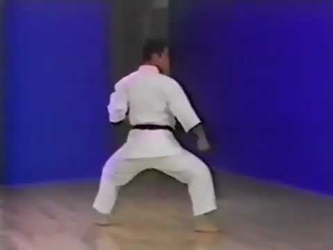 Seipai bunkai goju-ryu karate Morio Higaonna