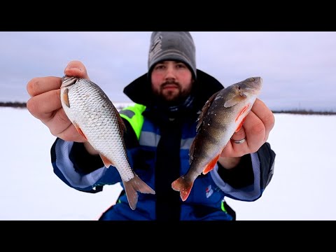 PILKKIRETKI MERELLE - AHVENTA, SÄRKEÄ JA HYVÄT EVÄÄT!