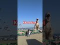 Kite Festival 2025 Kiteflying Jesolo Italy