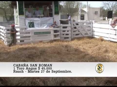 27-09-16 Venta de Toros - Cabaña San Roman de Zar - Rauch