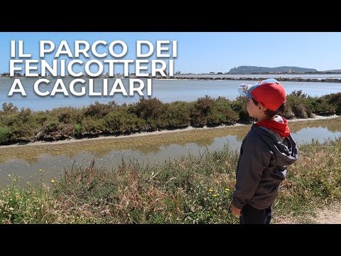 PARCO DEI FENICOTTERI A CAGLIARI