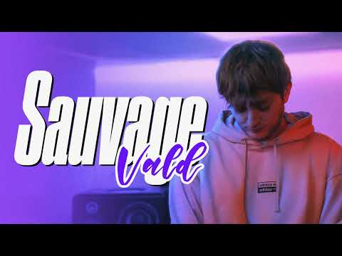 [FREE] Vald Melodic Trap Type Beat - "Sauvage"