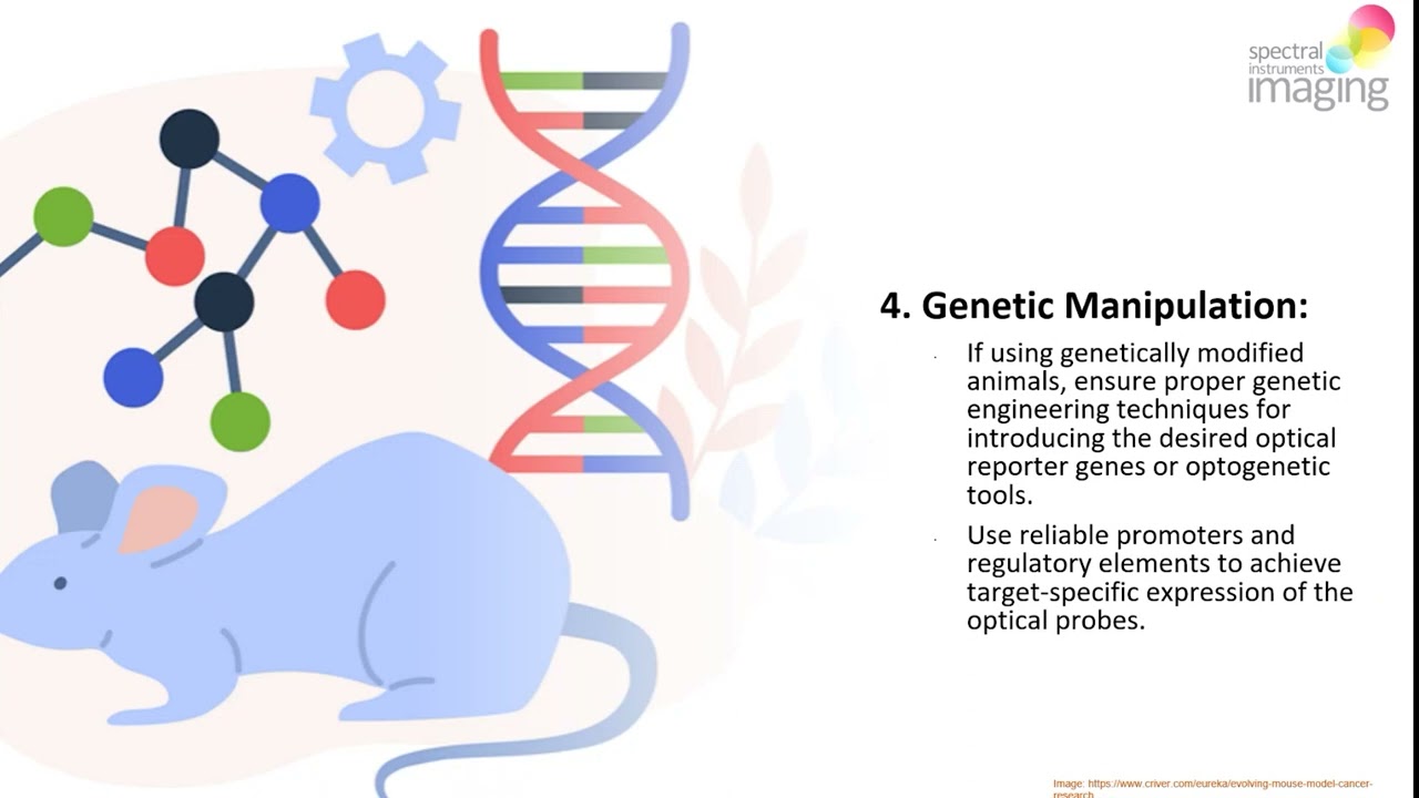 10 Considerations for Animal Model Development with Preclinical In Vivo Optical Imaging