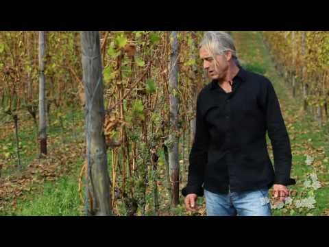 Michael Teschke-Weinberg